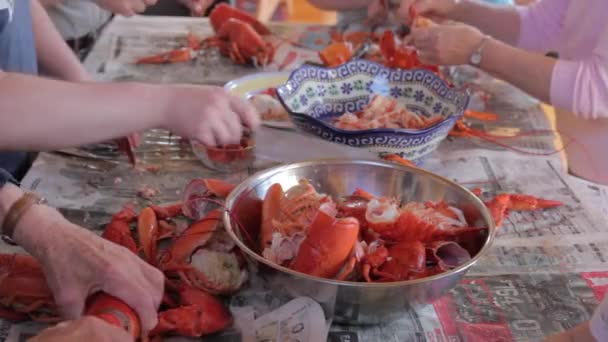 Family prepares fresh lobsters — Stock Video