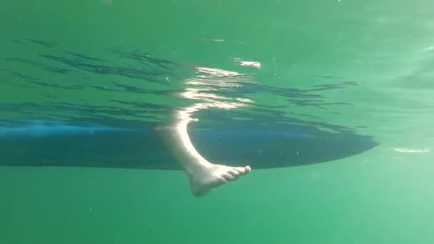 Pied suspendu dans l'eau au large du kayak — Video