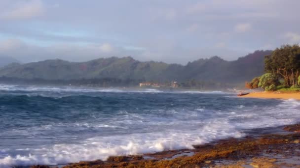 Óceáni napfelkelte a szigeten — Stock videók