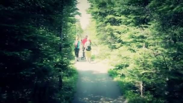 Hikers on skyline trail — Stock Video