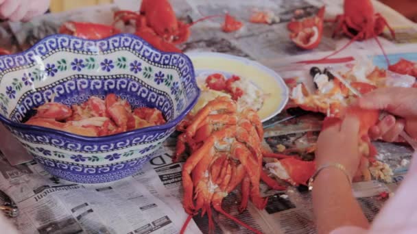 Family prepares fresh lobsters — Stock Video