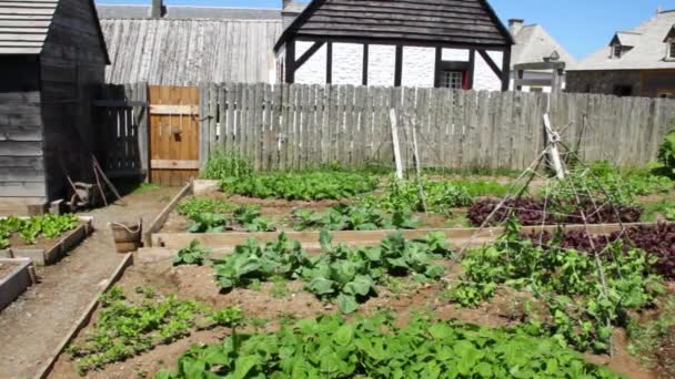 Jardim dentro do forte francês Louisbourg — Vídeo de Stock