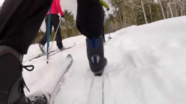 Femmes ski de fond — Video