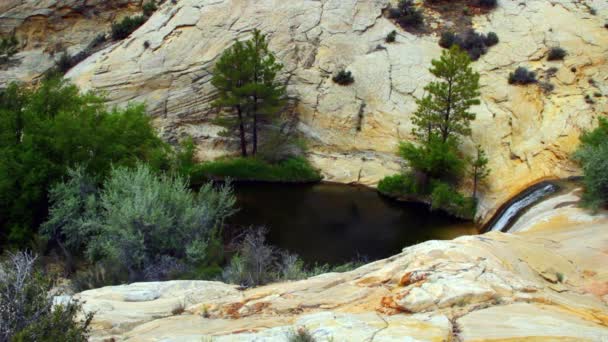 Waterfall and oasis in park — Stock Video