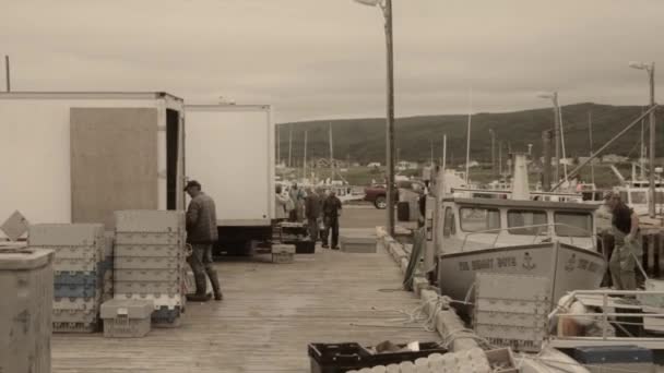 Barcos de pesca en un puerto — Vídeo de stock