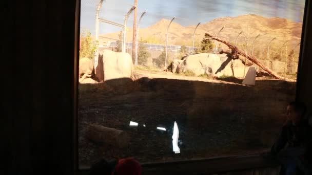 Семьи гуляют по зоопарку — стоковое видео