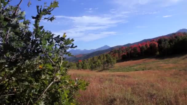 Ein malerisches Gebirge — Stockvideo