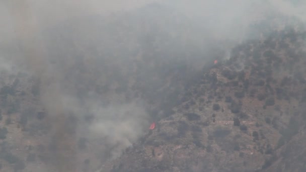 Razende wildvuur brandwonden over de berg — Stockvideo