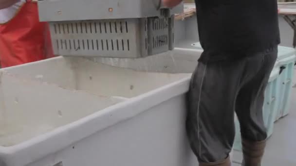 Рыбак чистит лодку — стоковое видео
