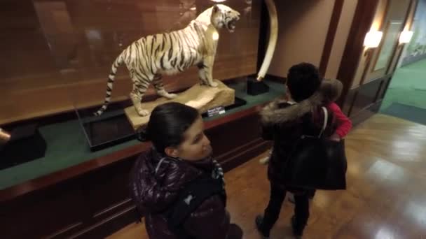 Familjen går genom ett museum — Stockvideo