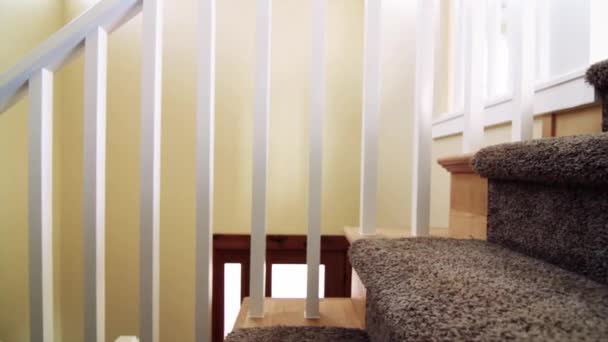 Escaleras alfombradas en casa — Vídeo de stock