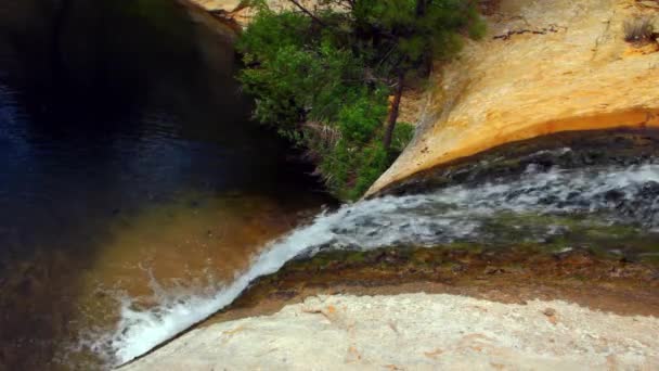 Wasserfall und Oase im Park — Stockvideo