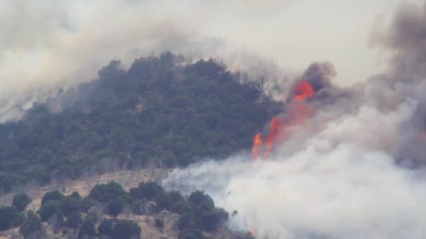 Razende wildvuur branden — Stockvideo