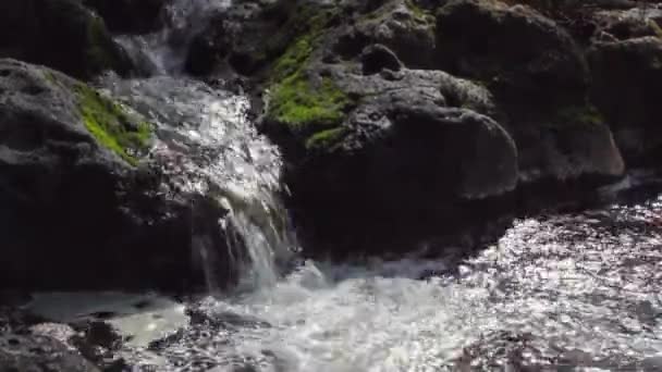 Corriente clara con rocas — Vídeo de stock