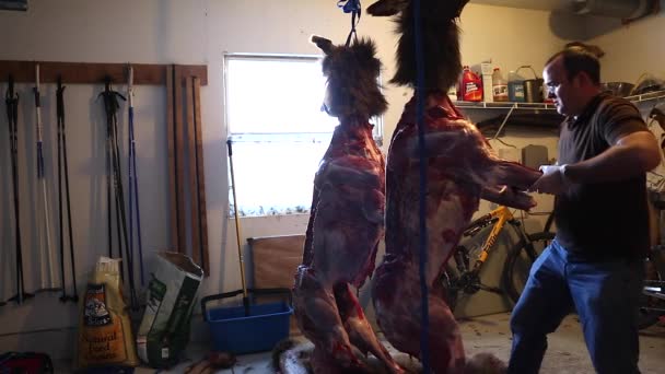 Мисливські шкури лося на м'ясо — стокове відео