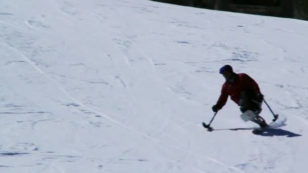 Τετραπληγικός άνθρωπος σκι κάτω από το λόφο — Αρχείο Βίντεο