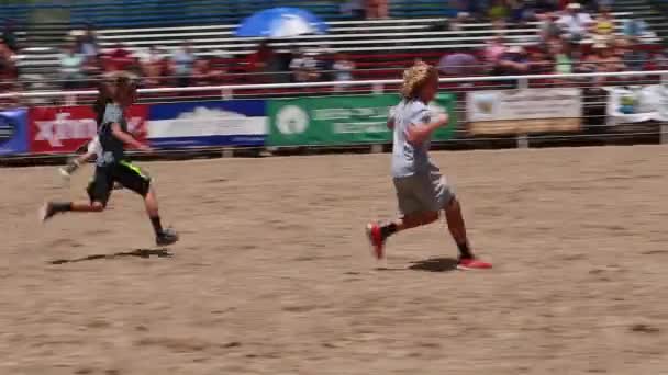 Pig chase at kid rodeo — Stock Video