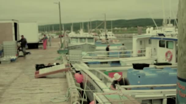 Pescadores de langosta en un puerto — Vídeos de Stock