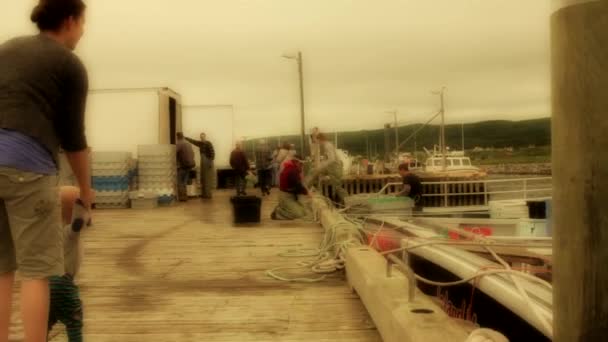 Pescadores de langosta con sus capturas — Vídeos de Stock