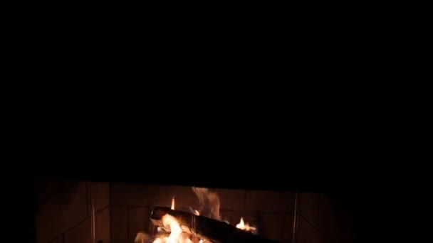 壁炉中的木头燃烧 — 图库视频影像