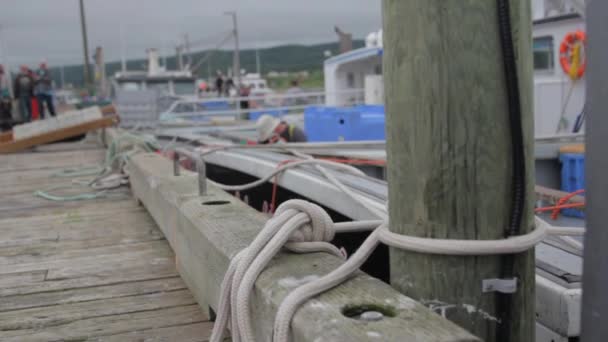 Pescadores de langosta en un puerto — Vídeos de Stock