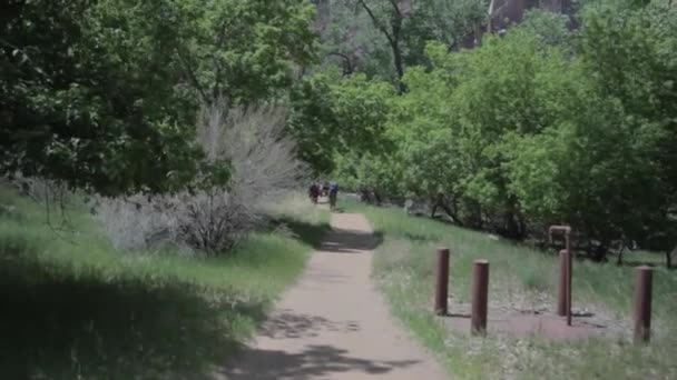 Randonneurs appréciant la promenade dans le parc — Video