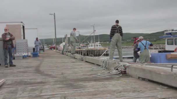 Grote kreeft vissersboten in de haven — Stockvideo