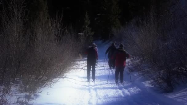Group cross country skiing — Stock Video