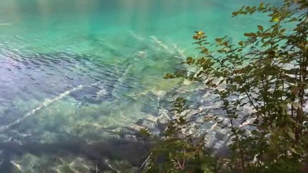 Озеро в долине Цзюйчжайгоу — стоковое видео