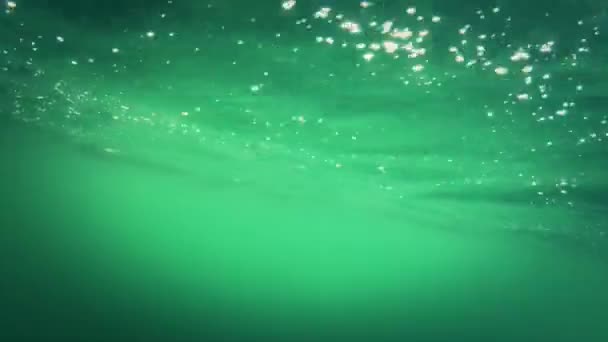 Клетка с лобстером вытаскивается из океана — стоковое видео