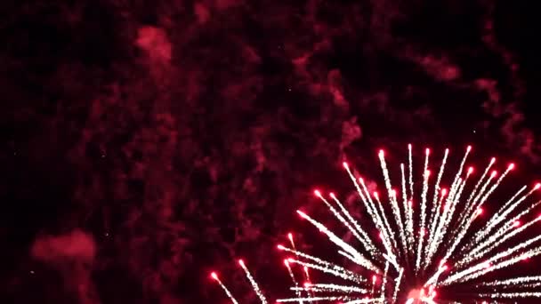 Bela exibição de fogos de artifício — Vídeo de Stock