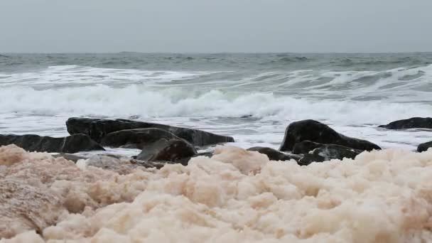 Litoral oceânico gelado com neve — Vídeo de Stock