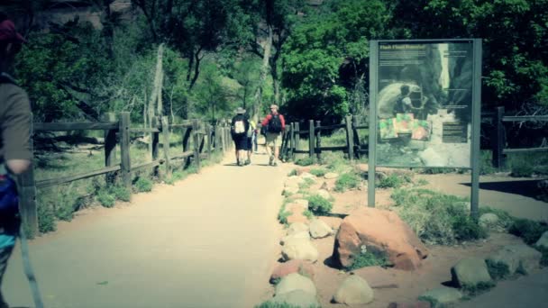 Turistické skupiny v parku — Stock video