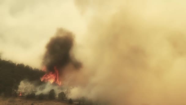 Brûlage de feux de forêt faisant rage — Video