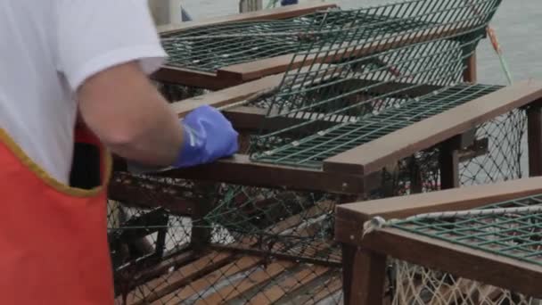 Lobsters em um barco de pesca — Vídeo de Stock