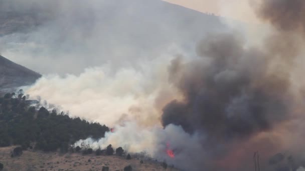 Flächenbrand wütet — Stockvideo