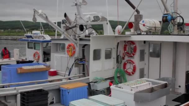 Pescadores de langosta con sus capturas — Vídeos de Stock