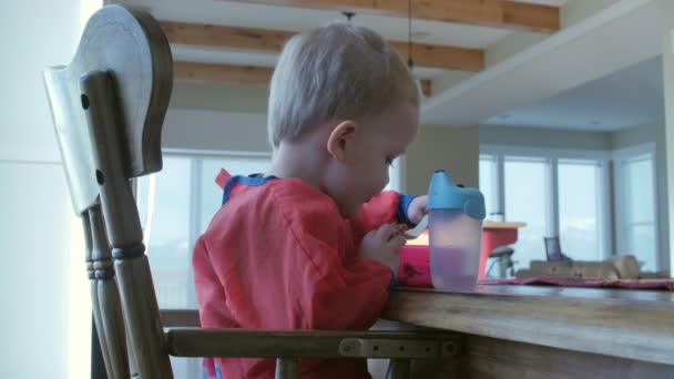 Little boy eating breakfast — Stock Video