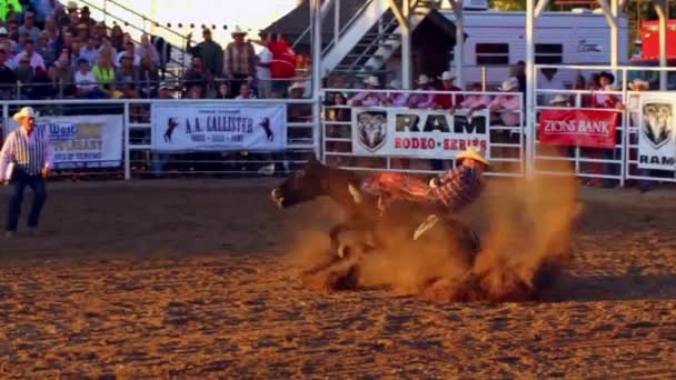Cowboy reitet bareback auf ruckelndem Pferd — Stockvideo