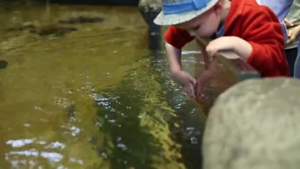 Malý chlapec dotýkat vody — Stock video