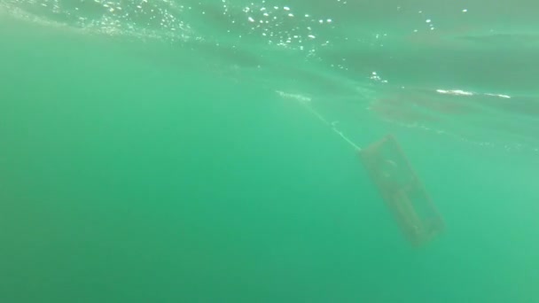Ściągnełem oceanu klatce homara — Wideo stockowe