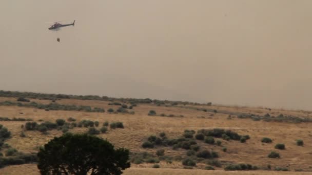Helikopter gevechten met wildvuur — Stockvideo