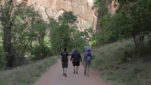 Hikers enjoying walk in park — Stock Video