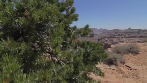 Weinig grand canyon — Stockvideo