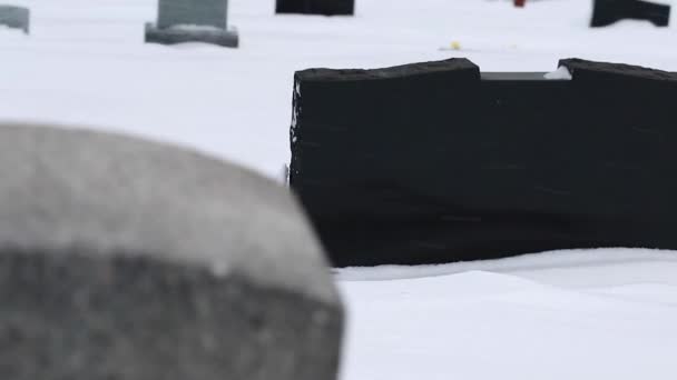 Cimitero durante una tempesta invernale — Video Stock