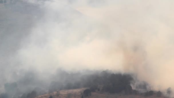 Uprawy dym z dziki ogień — Wideo stockowe