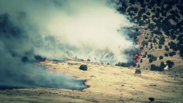 Бушує wildfire спалювання — стокове відео