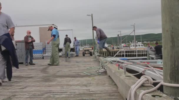 Pescadores de lagosta com as suas capturas — Vídeo de Stock