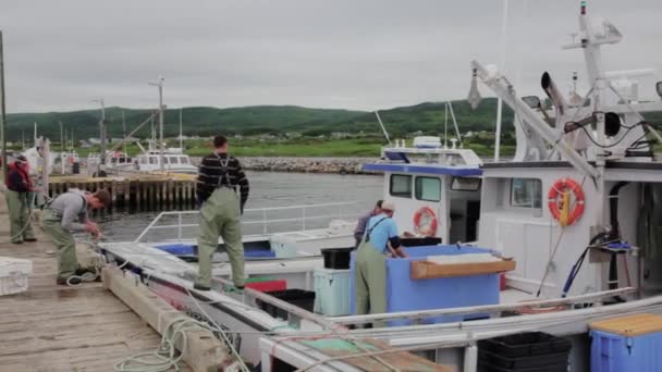 Gran langosta barco de pesca en el puerto — Vídeos de Stock