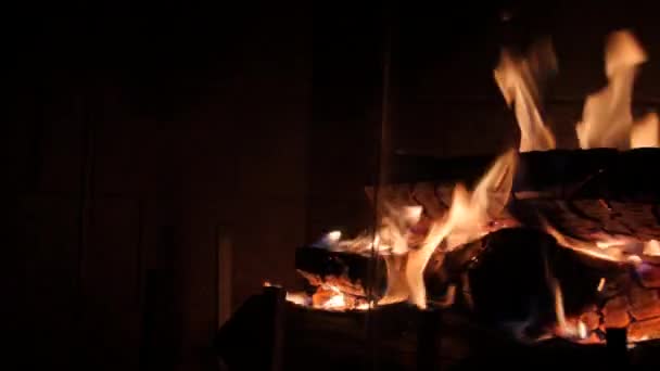 Wood burning in fireplace — Stock Video